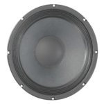 10" Speaker 150 W 8 Ohms