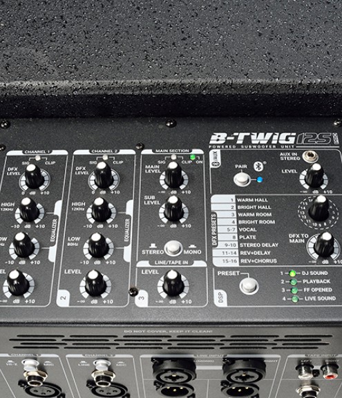 B TWIG 12 PRO ANT