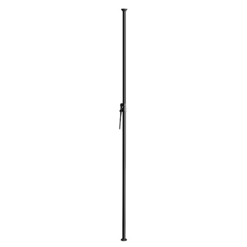 GLSVARIPOLE01B_2