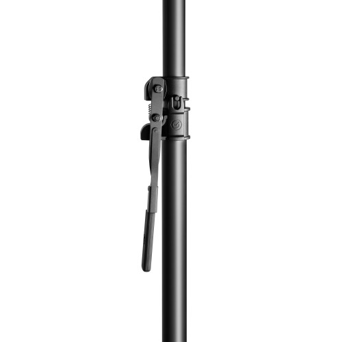 GLSVARIPOLE01B_3