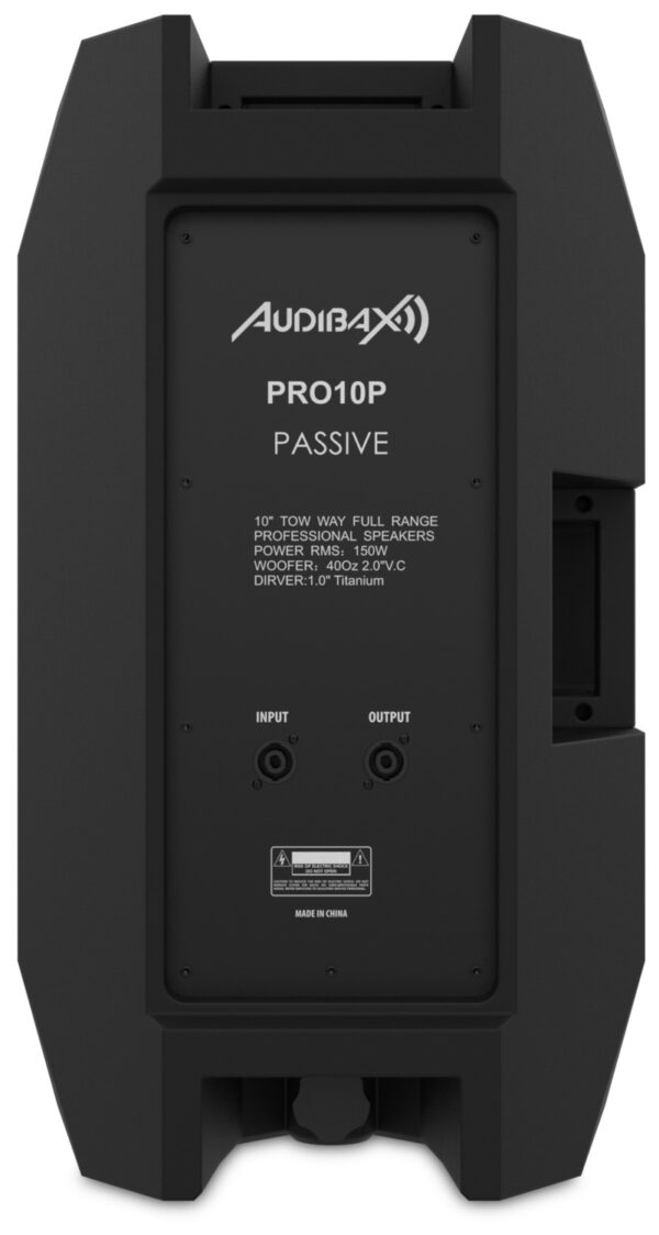 PRO10P-altavoz-pasivo-trasera