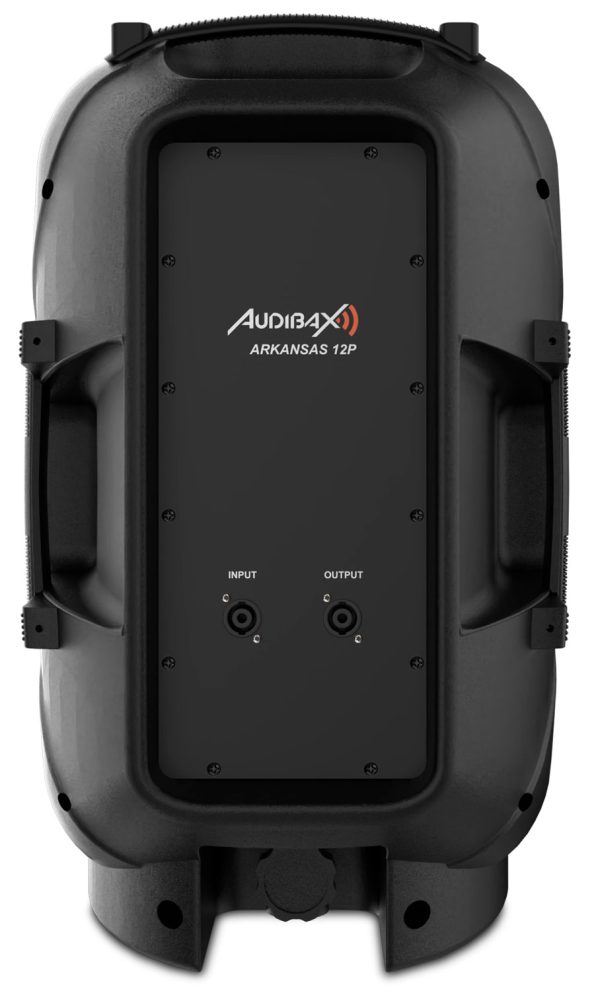 audibax-ARKANSAS-12P-altavoz-pasivo-profesional-12pulgadas-trasera