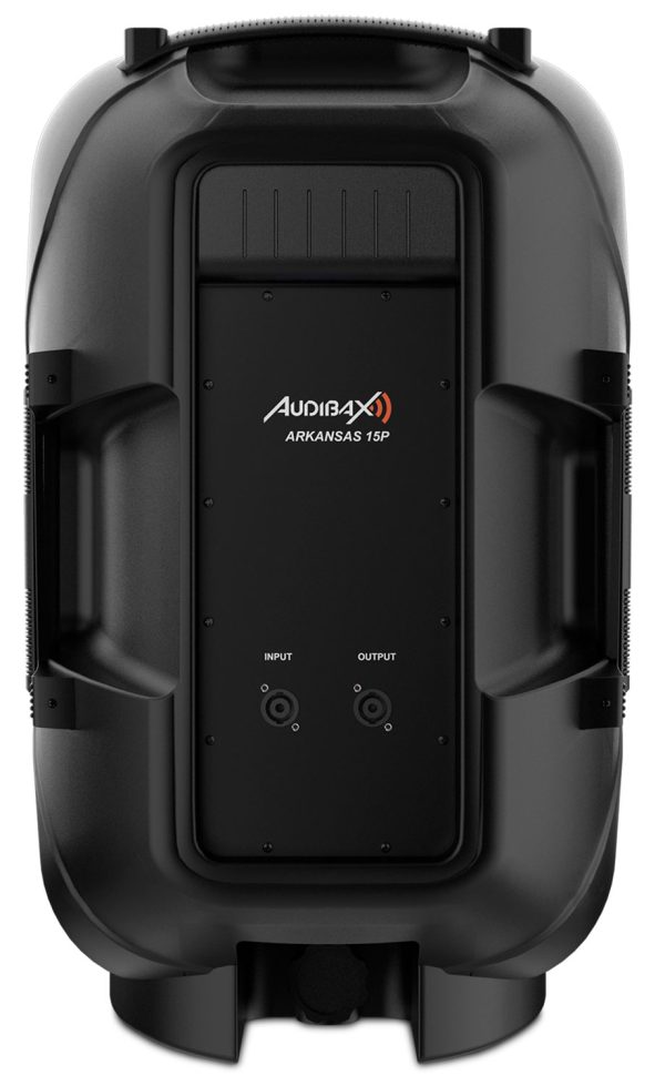 audibax-Arkansas-15P-altavoz-pasivo-profesional-15pulgadas-trasera
