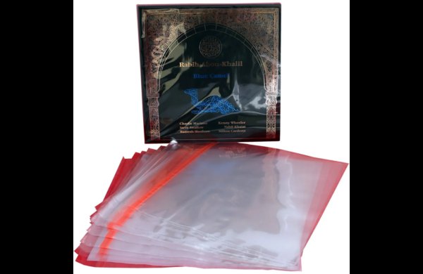 simply-analog-self-sealing-outer-sleeve-for-12-inch-vinyl-records-25