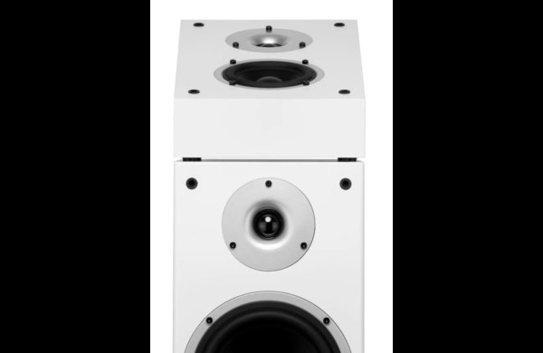 wilson-raptor-x-white